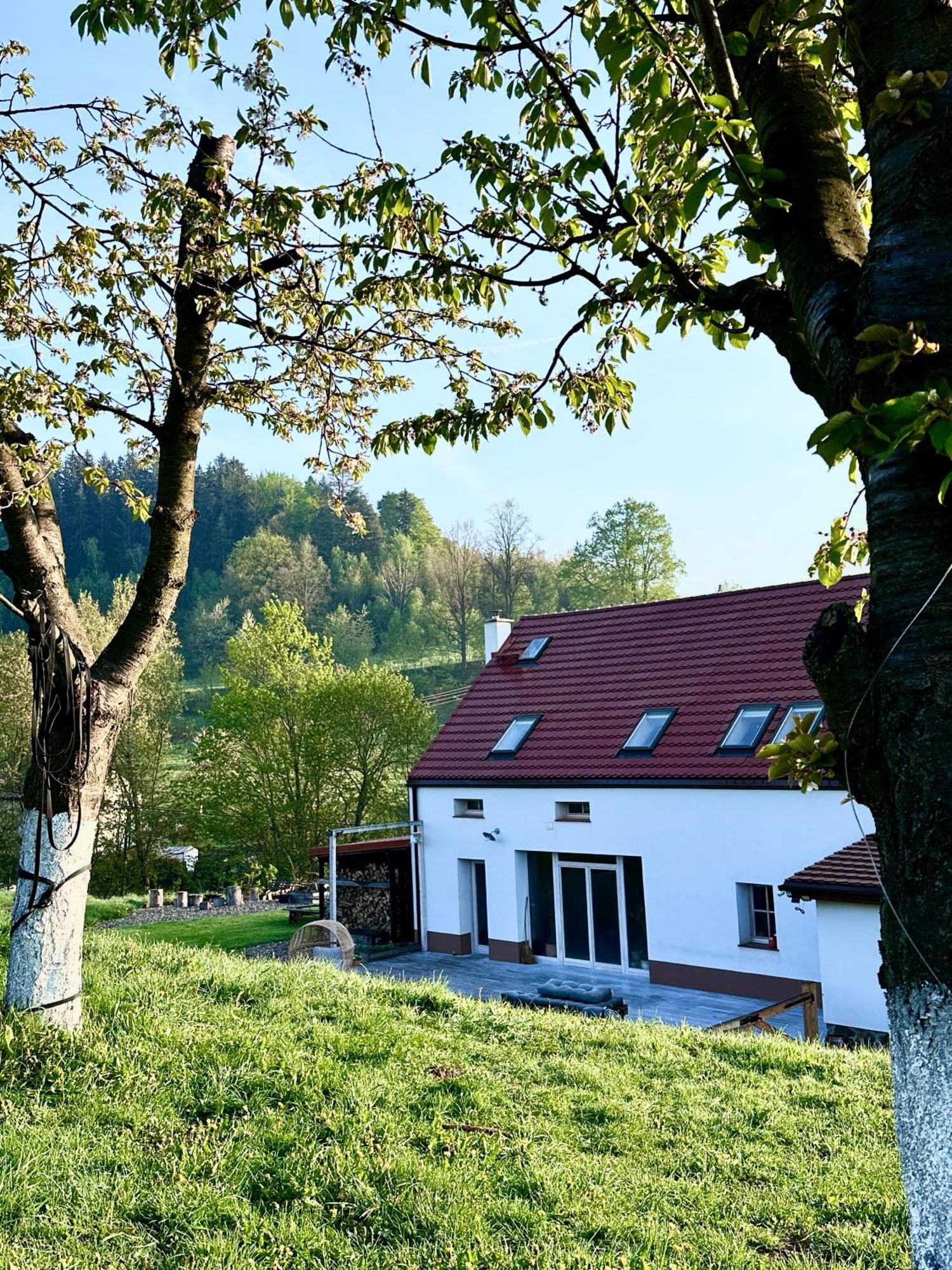 Zapomnienie Nowa Ruda